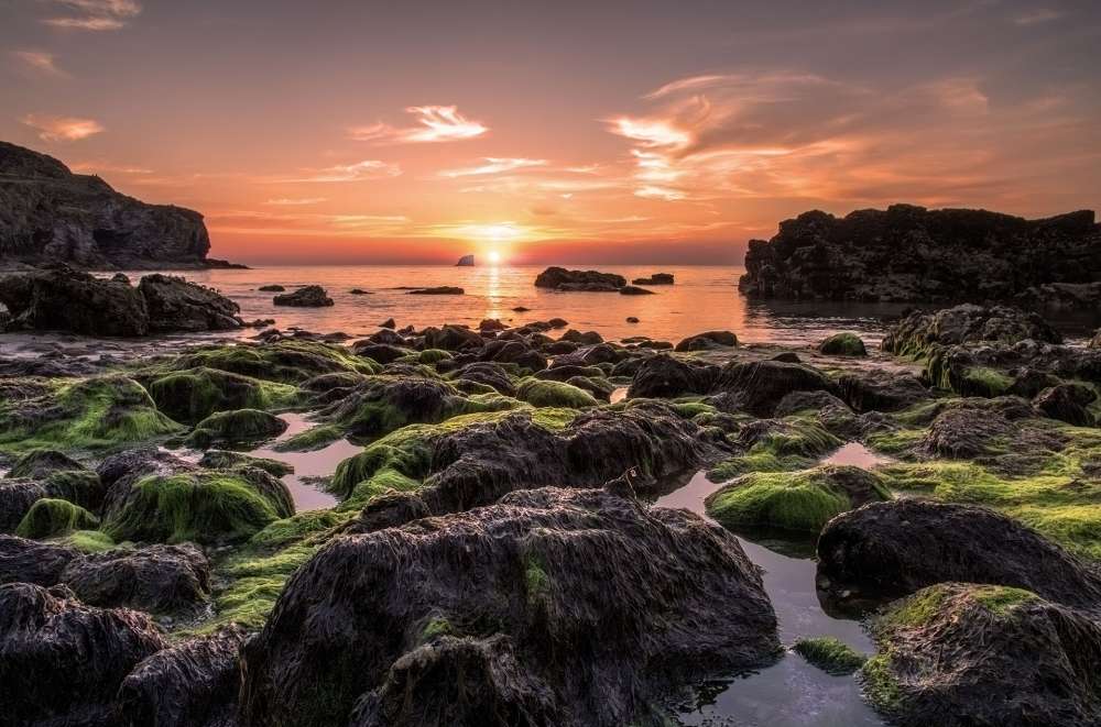 Cornwall Named as Part of the UKs 2026 Year of Coastal Excellence