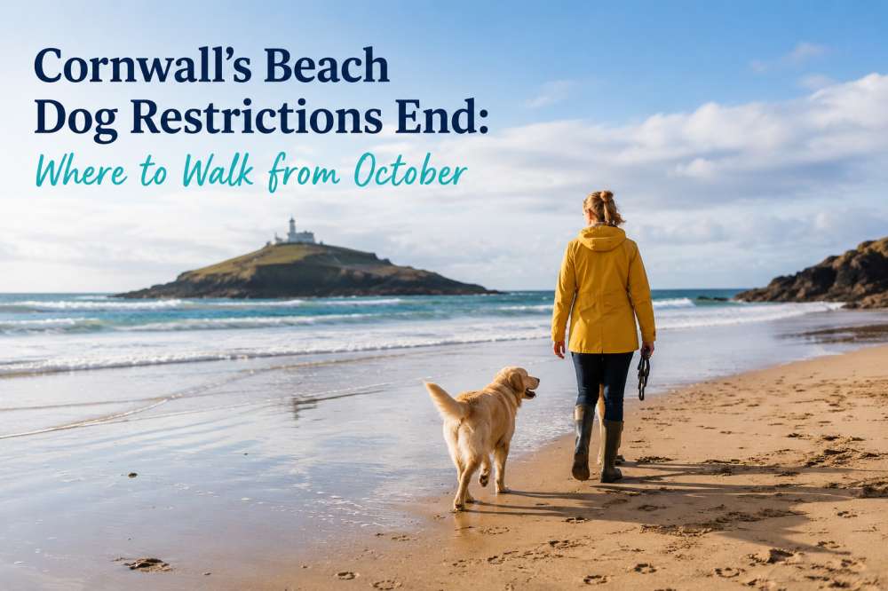 Cornwalls Beach Dog Restrictions End Where to Walk from October